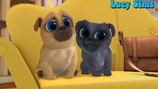 Puppy Dog Pals | A Pyramid Scheme | Episode 126 | Lucy Sims