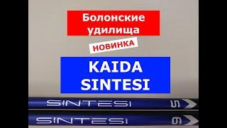 НОВИНКА 2025. KAIDA SINTESI - ОБЗОР БОЛОНСКИХ УДИЛИЩ. УДИЛИЩЕ С КОЛЬЦАМИ МОДЕЛЬ КАЙДА СИНТЕСИ