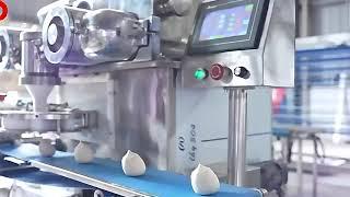 The Automatic Encrusting Machine