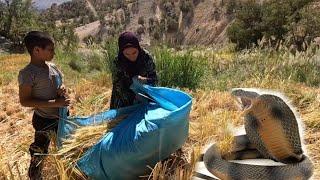 Maryam's Journey: Tackling Life's Challenges for Her Children | Nomadic Life 