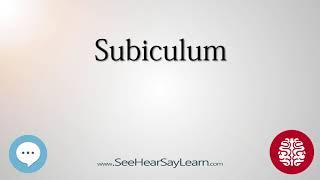 Subiculum   Anatomy of the Brain   SeeHearSayLearn 