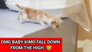  OMG,,, BABY KIMO IS CRY, HE FALLING DOWN FROM THE HIGH..