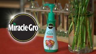 How to Make Fresh Cut Flowers Last Longer with Miracle-Gro® for Fresh Cut Flowers