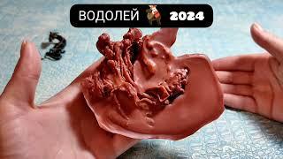  ВОДОЛЕЙ 2024 ГОД СУДЬБОНОСНЫЕ ПЕРЕМЕНЫ Узнай что ждёт Чем судьба порадует? Гадание на воске