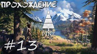 Pine  #13  Созерцатель гробниц. Великий ляп. Яркоперы.