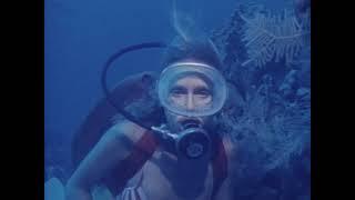 Scuba Woman and Moray Eel 1995
