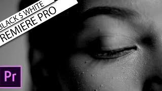 How To Create black and white video in Premiere pro