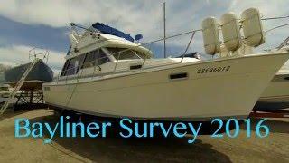 Bayliner 3288   2016 Survey