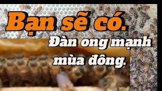 Bạn sẽ có đàn ong mạnh trong mùa đông