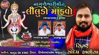 NAGNESHWARI MATAJI NO LILUDO MANDAVO ||GAM-PALAJ  || MAHI DIGITAL STUDIO || LIVE 2024