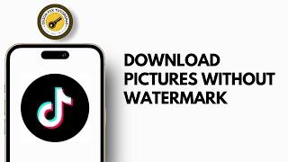 How To Download Pictures From TikTok Without Watermark 2024