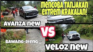 VELOS NEW VS AVANZA NEW mencoba tanjakan extrem  krakalan ll jalur bawang-dieng @krakalantvnew