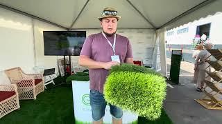 Premium Grass - исскуственный газон для зеленой кровли, футбольных полей, ландшафтных полей