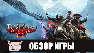 Шедевр со странностями I Обзор игры: Divinity: Original sin 2 (Definitive Edition)