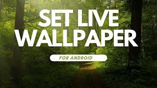 Set a live Video Wallpaper in Android | Custom Live Wallpaper For Android Phones.