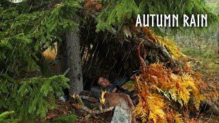 SOLO CAMPING in RAINBuilding my Bushcraft Survival Shelter: Rain & Fire ASMR