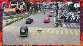 Dog's quick learning | Cyberabad Traffic Police | Pedestrian Safety