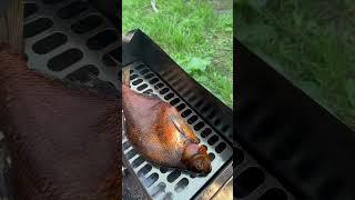 Лучшая закуска к пиву Копченый лещ #еда#eat#bbq#grill#копчение#лещ