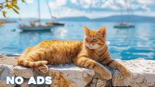 12 Hours Sleep Music for Cats  Calming Music for Cats No Ads  Sleep Music for Anxious Cats