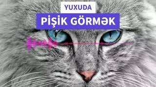 Yuxuda pişik görmək