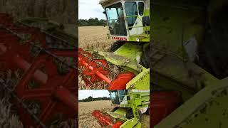 winter wheat harvest #farming #agriculture #arimagery
