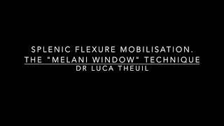 Colonic splenic flexure mobilisation. The "Melani Window" technique.