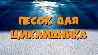 Песок для цихлидника