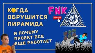 Финико. Почему до сих пор работает. Зачем на самом деле токен FNK. Когда скам проекта. Finiko.