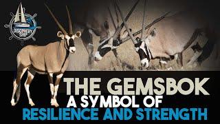 The Gemsbok A Symbol of Resilience and Strength #animals #wildlife #viral  @discoveryship773