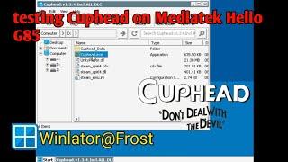 Cuphead Giving Launcher error on mediatek helio g85 Winlator@Frost - DirectX 11 install