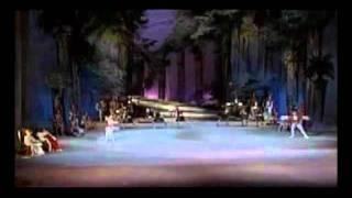 Bela Adormecida -  PDD Cinderela - Bolshoi 1989