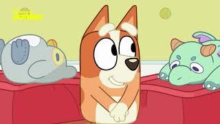 Doctor Bluey and Nurse Bingo Play Hospital  | Bluey  | Disney Junior Arabia