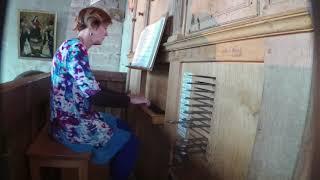 Watch Kimberly Marshall play Basse dance "Saint Roch" by Pierre Attaingnant at the Renaissance organ