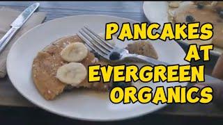 #vegangsta #evergreenorganic #pancake vegangsta has breakfast at Evergreen Organics