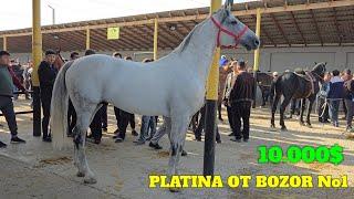 PLATINA OT BOZOR! QIMMAT OTLAR 4.400$ BARAKA BO'LDI. VIDEO UCHUN LIKE BOSVORILA! HORSE MARKET!