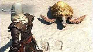 Assassin's Creed 4 Black Flag Assassin Contract & Perfect Stealth Kills