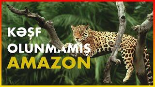 Kəşf Olunmamış Amazon - HEYVANLAR ALƏMİ - Elm Azərbaycan