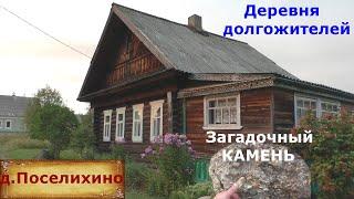 Дом на продажу за 450 тысяч. Удивительная деревня долгожителей. Загадочный камень. Деревня в лесах