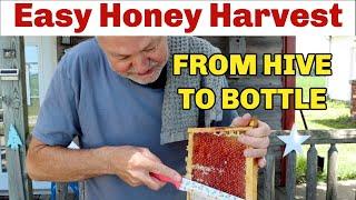 Beekeeping TIPS On Easiest Way To Harvest Honey