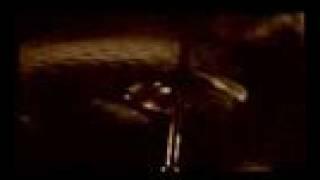 Jarass,Warm & Black, cold & white, Director: Arshia Shakiba