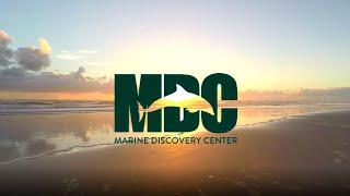 DISCOVER AMAZING :: Marine Discovery Center