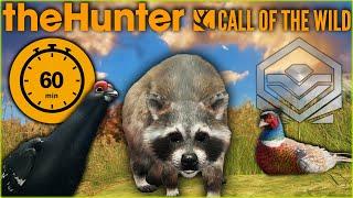 Did That Really Just Happen With A Diamond Raccoon... 60 Minute Trophy Challenge! Call of the wild