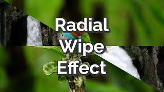 Using Radial Wipe Effect in Adobe Premiere Pro