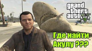 GTA 5 - Где найти песчаную акулу? [Пасхалки в ГТА 5] - Easter Egg