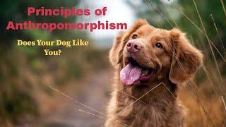 Principles of Anthropomorphism: Does Your Dog Like You?