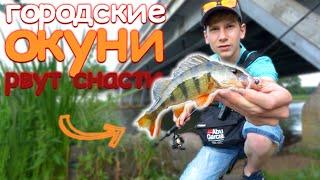 Рыбалка в городе. ЗАЧЁТНЫЙ окунь на спиннинг в Минске. СТРИТФИШИНГ