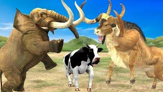 3 Zombie Bulls Vs 3 Zombie Cows 3 Zombie Buffalos Fight Cow Cartoon Elephant Save by Woolly Mammoth