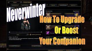 Neverwinter How Or Ways To {Upgrade, Boost And Level Up Your Companion}