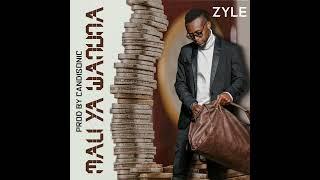 ZYLE - MALI YA WANUNA (prod. Candisonic)