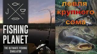 Fishing planet.ловля крупного сома на реке мадвотер